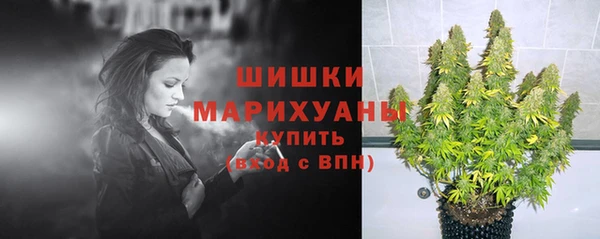 скорость Гусь-Хрустальный