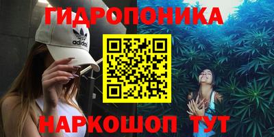 сатива Гусиноозёрск