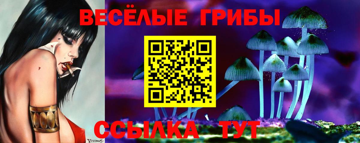 Донецк  Псилоцибиновые грибы мухоморы  Вход с VPN 