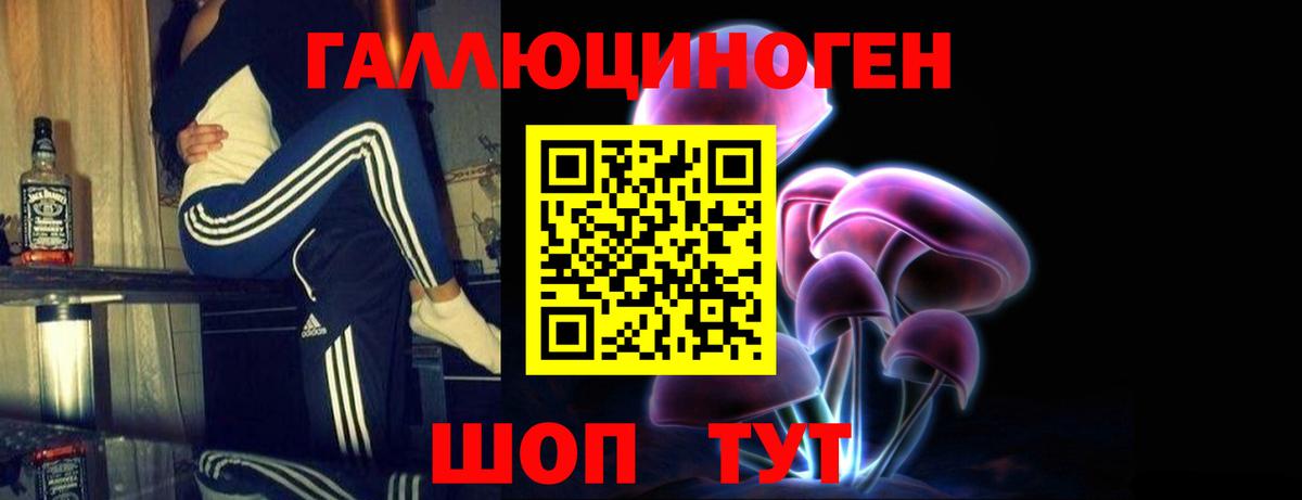 как найти наркотики  Донецк  Псилоцибиновые грибы Psilocybine cubensis 